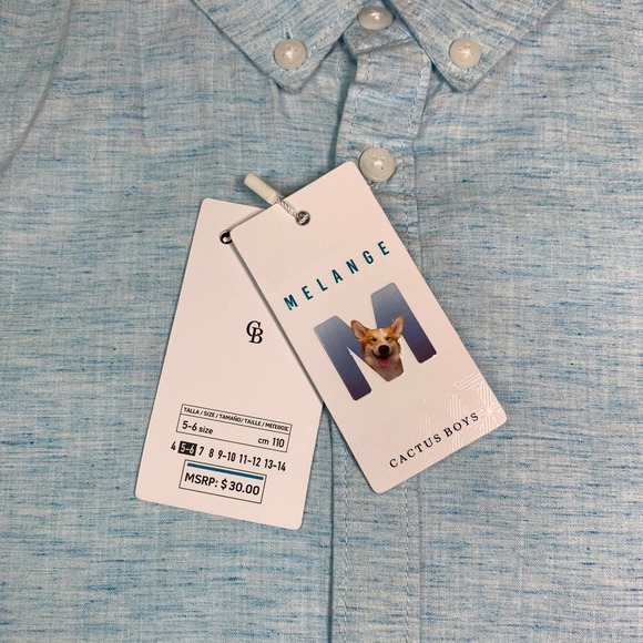 Cactus Boys shirt boys 5 6 sky blue sunday dress party - Picture 4 of 4